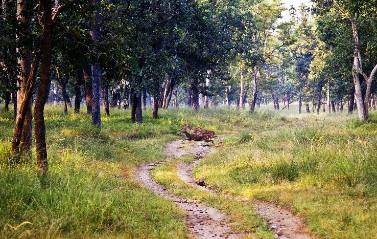 16- Pench National Park